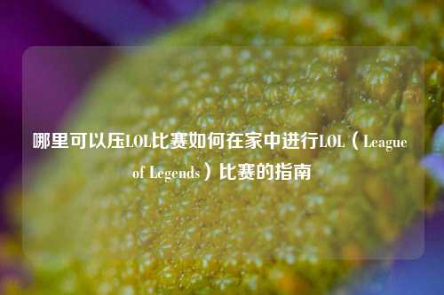 哪里可以压LOL比赛如何在家中进行LOL（League of Legends）比赛的指南