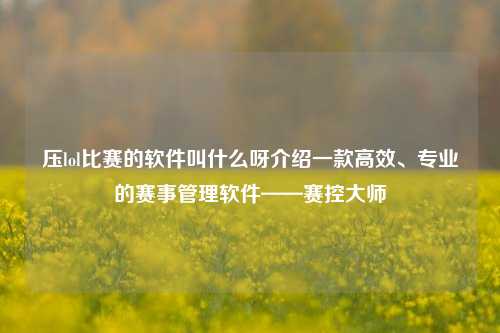 压lol比赛的软件叫什么呀介绍一款高效、专业的赛事管理软件——赛控大师