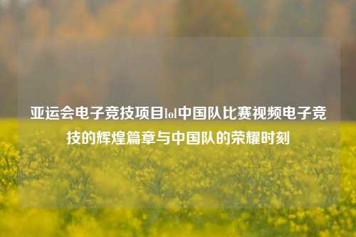 亚运会电子竞技项目lol中国队比赛视频电子竞技的辉煌篇章与中国队的荣耀时刻