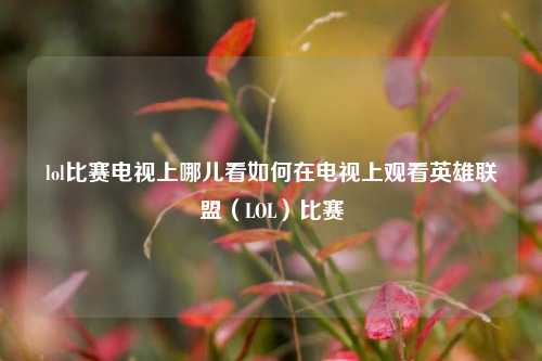 lol比赛电视上哪儿看如何在电视上观看英雄联盟（LOL）比赛
