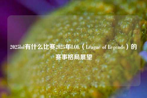 2025lol有什么比赛2025年LOL（League of Legends）的赛事格局展望