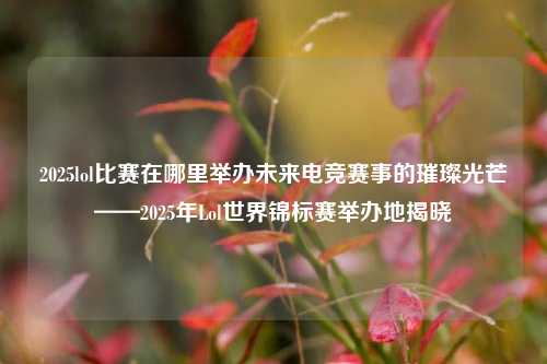 2025lol比赛在哪里举办未来电竞赛事的璀璨光芒——2025年Lol世界锦标赛举办地揭晓