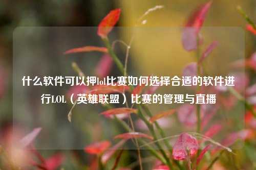 什么软件可以押lol比赛如何选择合适的软件进行LOL（英雄联盟）比赛的管理与直播