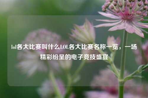 lol各大比赛叫什么LOL各大比赛名称一览，一场精彩纷呈的电子竞技盛宴