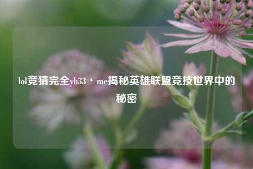 lol竞猜完全yb33丶me揭秘英雄联盟竞技世界中的秘密