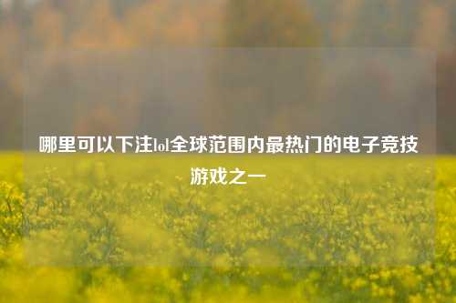 哪里可以下注lol全球范围内最热门的电子竞技游戏之一