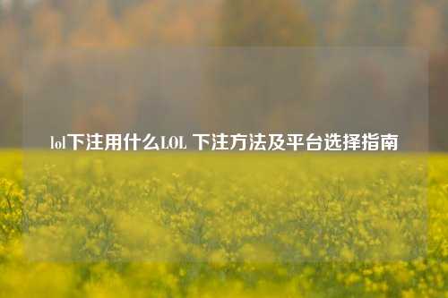 lol下注用什么LOL 下注方法及平台选择指南
