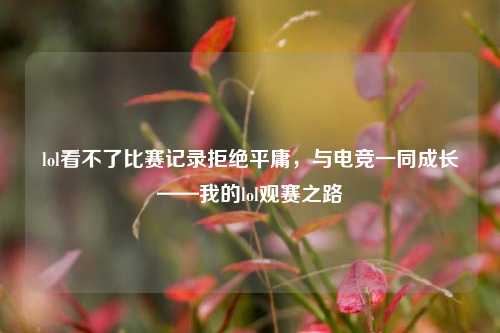 lol看不了比赛记录拒绝平庸，与电竞一同成长——我的lol观赛之路