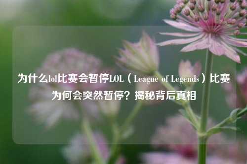 为什么lol比赛会暂停LOL（League of Legends）比赛为何会突然暂停？揭秘背后真相