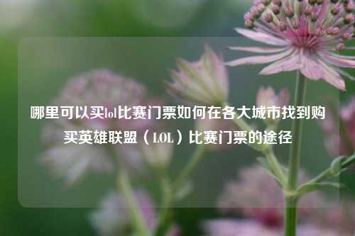 哪里可以买lol比赛门票如何在各大城市找到购买英雄联盟（LOL）比赛门票的途径