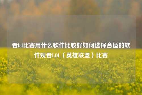 看lol比赛用什么软件比较好如何选择合适的软件观看LOL（英雄联盟）比赛