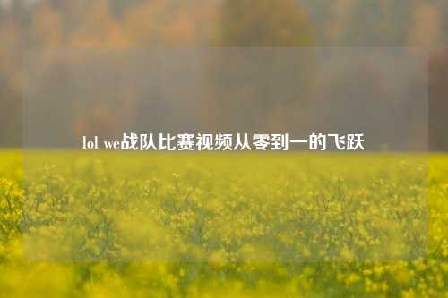 lol we战队比赛视频从零到一的飞跃
