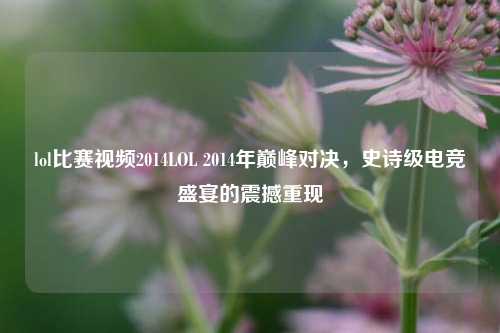 lol比赛视频2014LOL 2014年巅峰对决，史诗级电竞盛宴的震撼重现