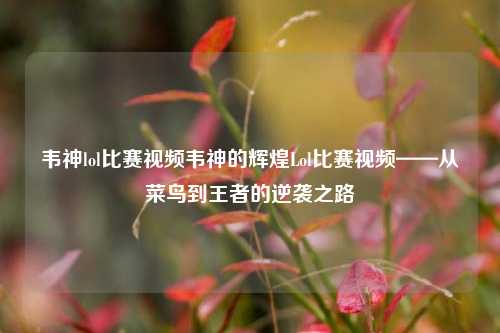 韦神lol比赛视频韦神的辉煌Lol比赛视频——从菜鸟到王者的逆袭之路