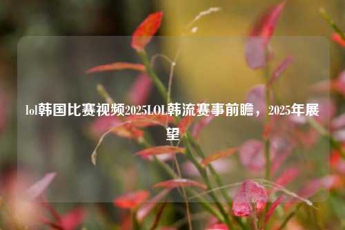 lol韩国比赛视频2025LOL韩流赛事前瞻，2025年展望