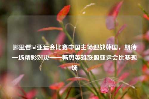 哪里看lol亚运会比赛中国主场迎战韩国，期待一场精彩对决——畅想英雄联盟亚运会比赛现场