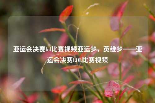 亚运会决赛lol比赛视频亚运梦，英雄梦——亚运会决赛LOL比赛视频