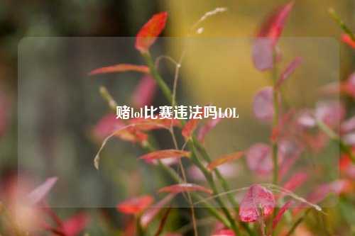 赌lol比赛违法吗LOL