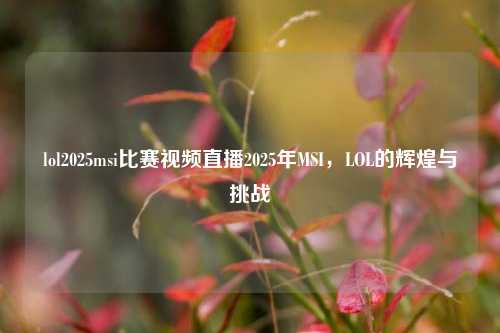 lol2025msi比赛视频直播2025年MSI，LOL的辉煌与挑战