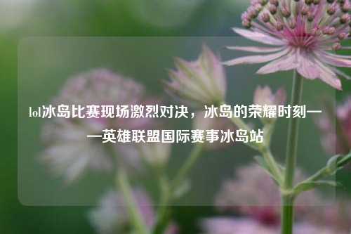 lol冰岛比赛现场激烈对决，冰岛的荣耀时刻——英雄联盟国际赛事冰岛站