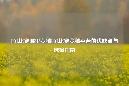 LOL比赛哪里竞猜LOL比赛竞猜平台的优缺点与选择指南